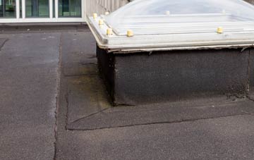 disadvantages of Pamphill flat roofs